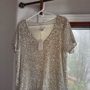 Z Supply Sequin Blouse